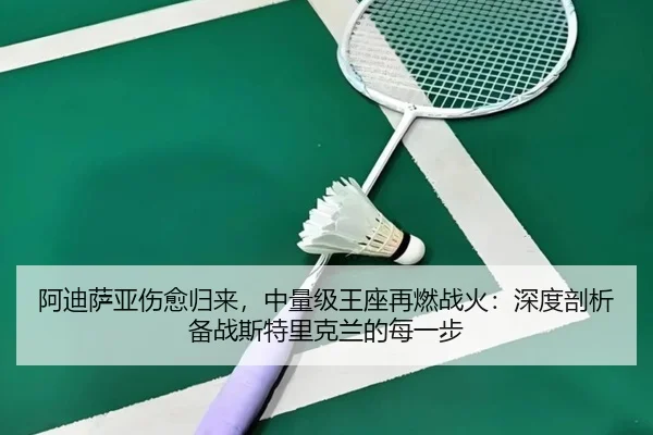 阿迪萨亚伤愈归来，中量级王座再燃战火：深度剖析备战斯特里克兰的每一步