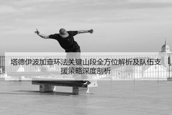 ta-de-yi-bo-jia-cha-huan-fa-guan-jian-shan-duan-quan-fang-wei-jie-xi-ji-dui-wu-zhi-yuan-ce-lve-shen-du-pou-xi-2-768.jpg